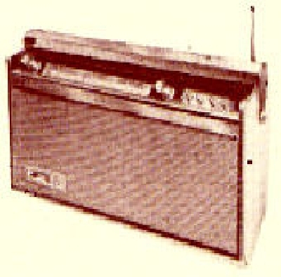 Ribet Desjardins Sport 3