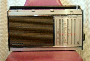 grundig concert boy 1000 version bois