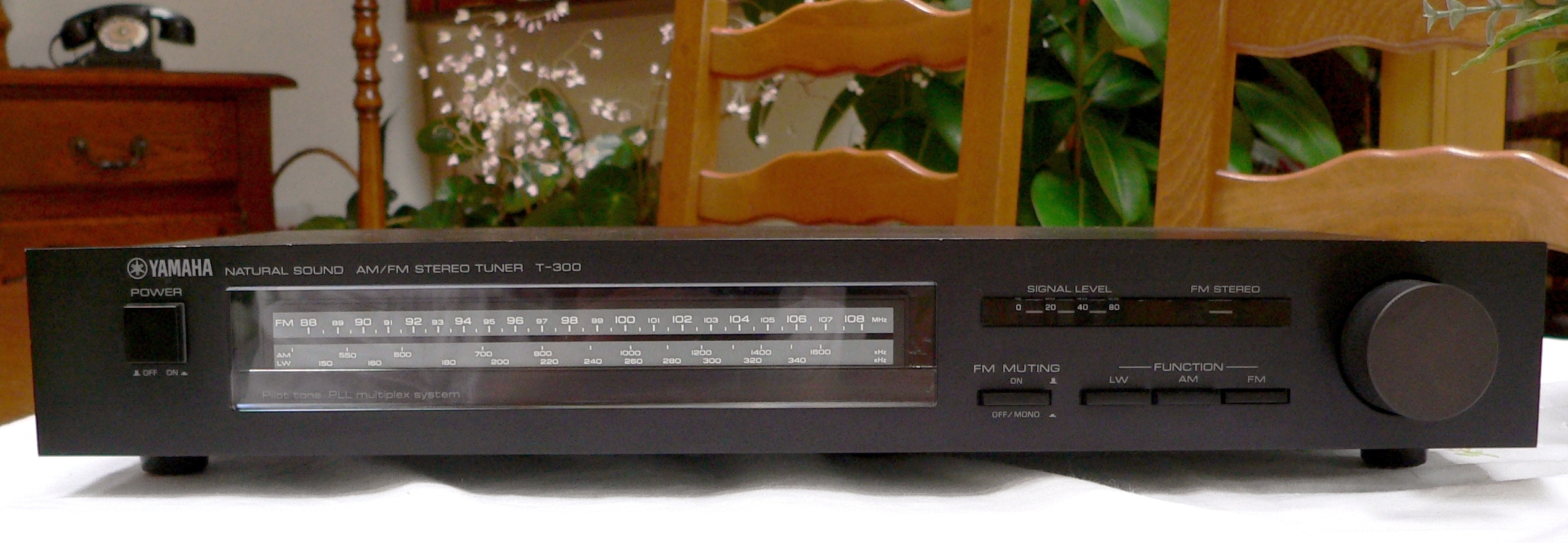 Yamaha T-300