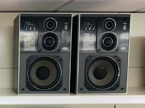 Philips 22 AH 587 version "Black tulip"