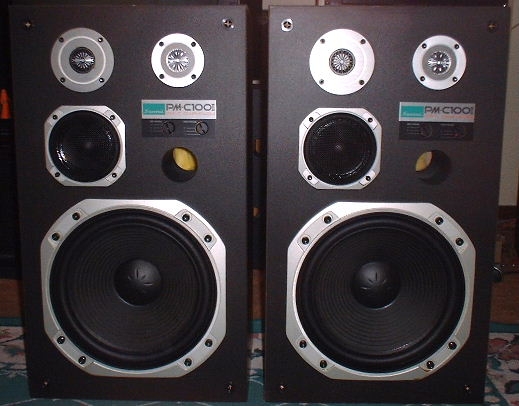 Sansui PM C 100 I