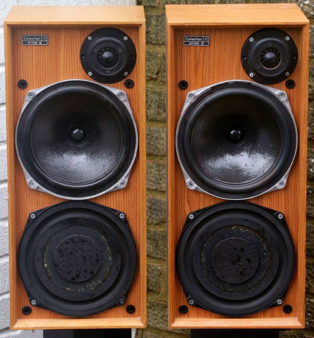 Celestion Ditton 15