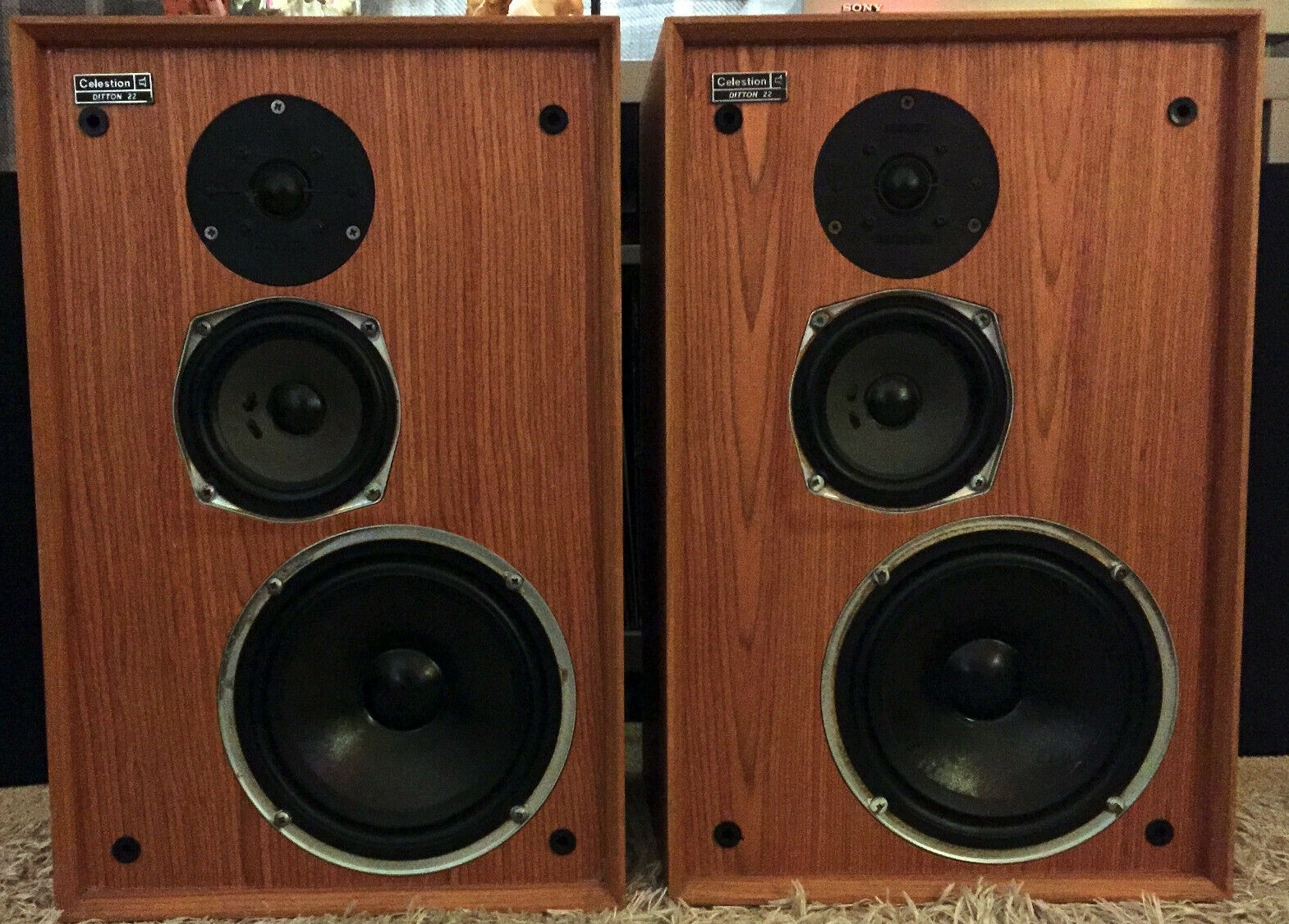 Celestion Ditton 22