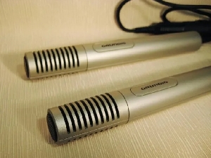 GCMS-333