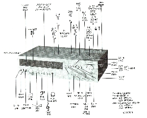22 AH 793