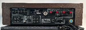 R-310