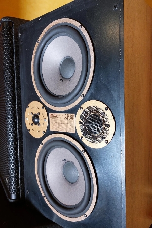 Audio Professional AP 60