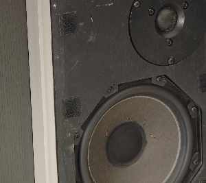 SX 6541